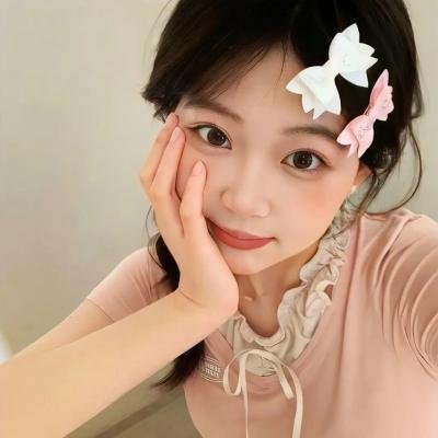 盐湖城朋克